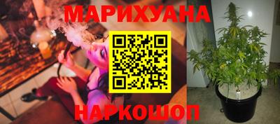 гидра Заволжье