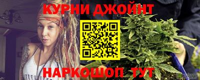 сатива Жуковский