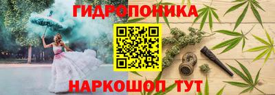 сатива Жуковский