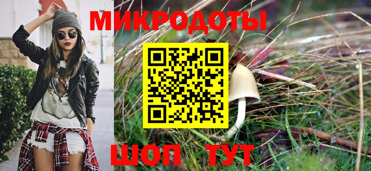 Псилоцибиновые грибы Psilocybe Луховицы