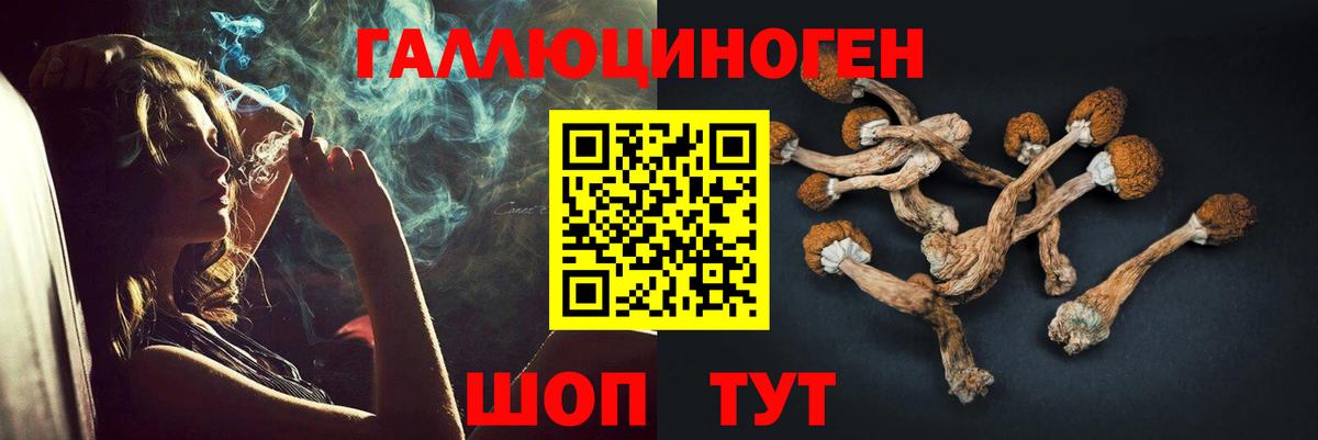 Луховицы  Галлюциногенные грибы Psilocybine cubensis  Вход с VPN 